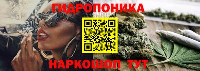 прущие крисы Ижевск