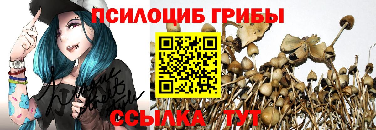 Тобольск  Галлюциногенные грибы мицелий  Вход с VPN  как найти наркотики  Псилоцибиновые грибы ЛСД 